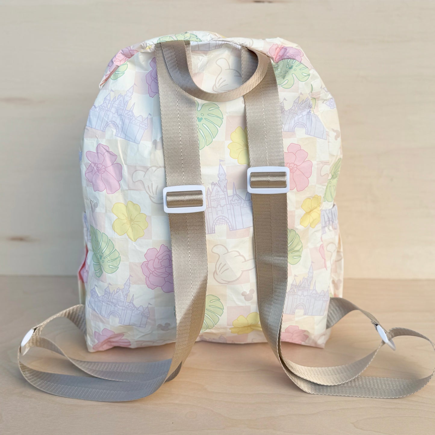 Collapsible Backpack