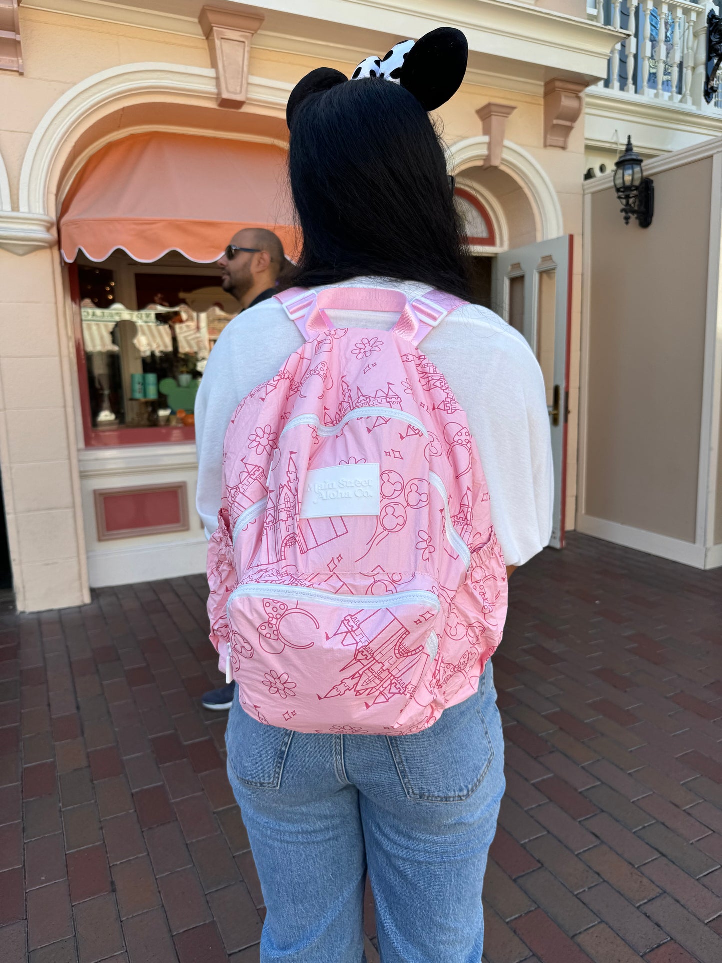 Collapsible Backpack
