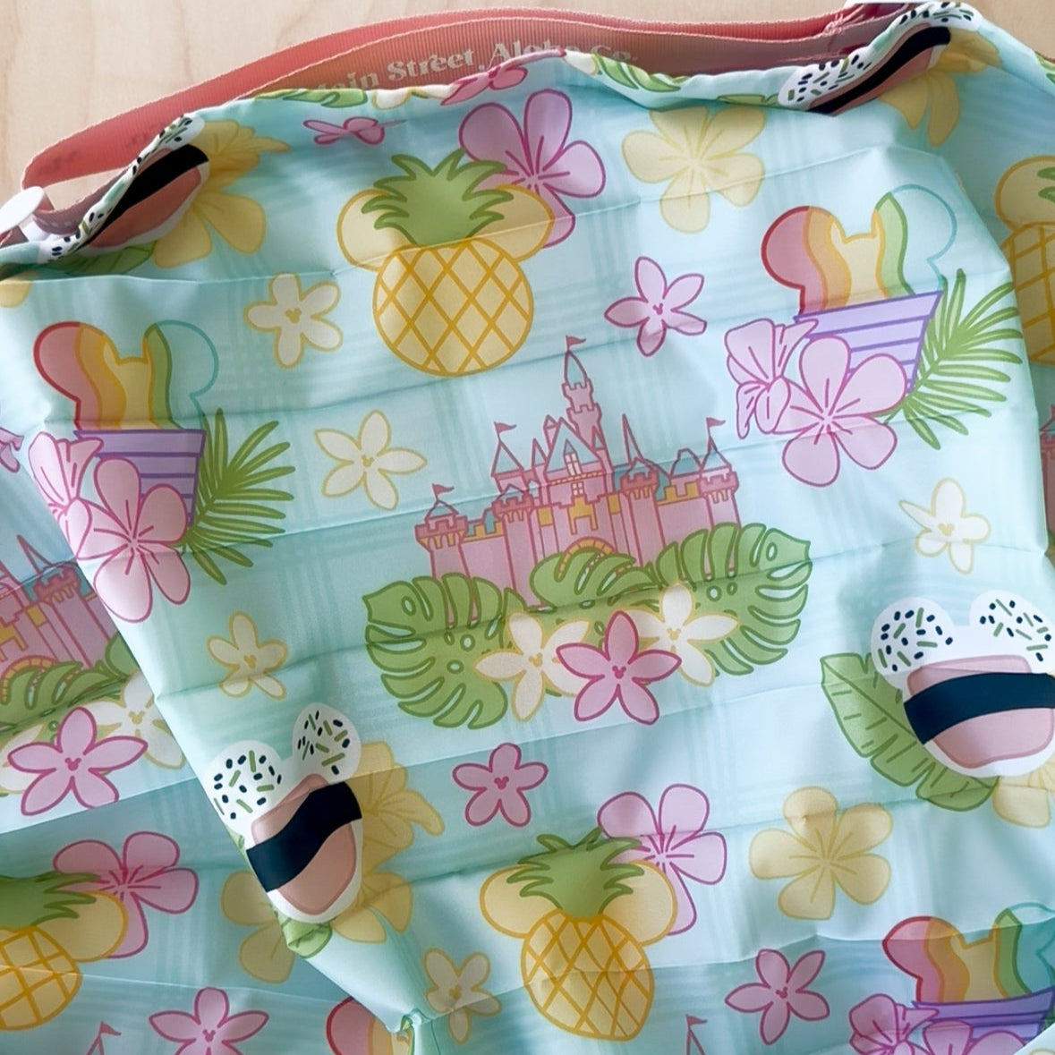 Reusable Bag