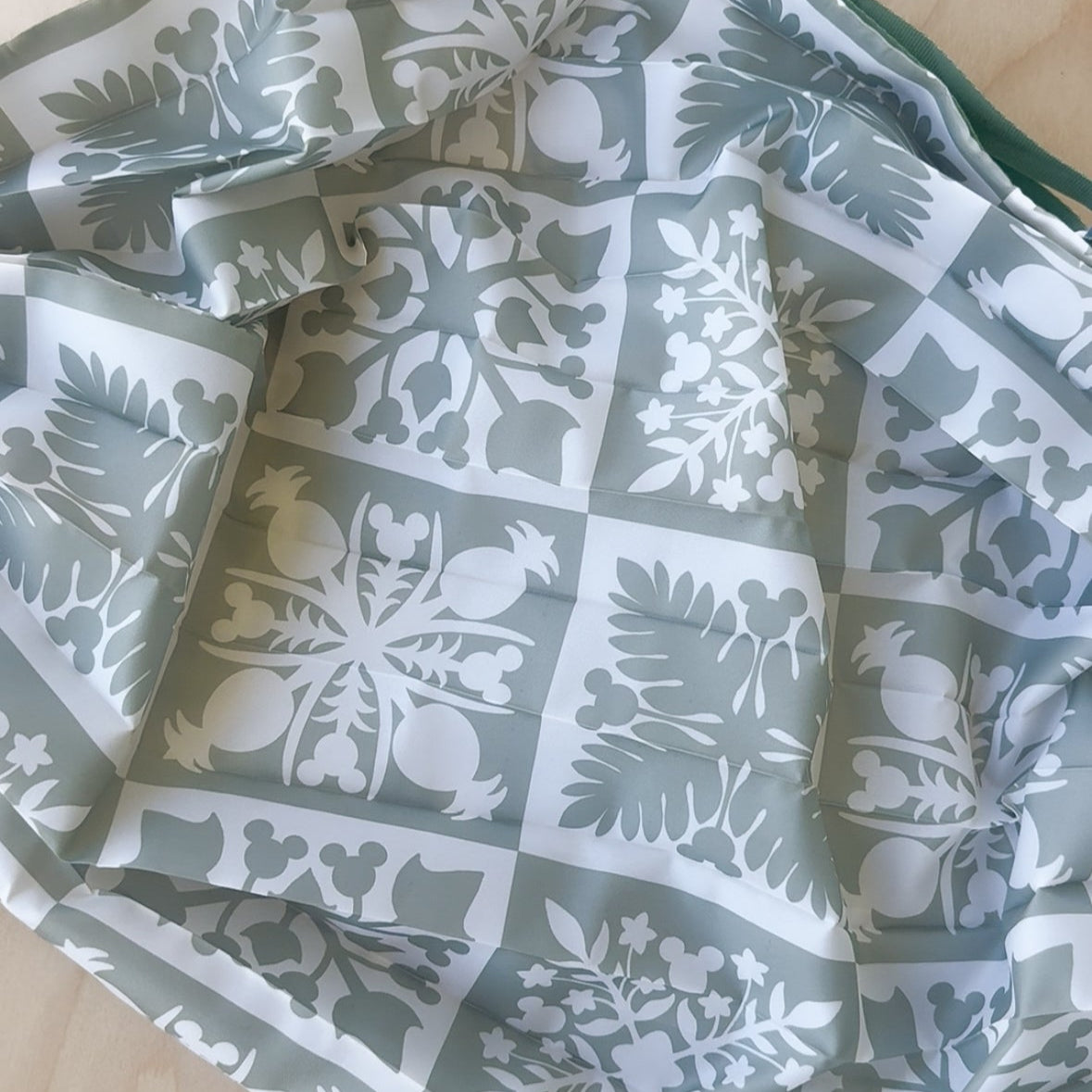 Reusable Bag